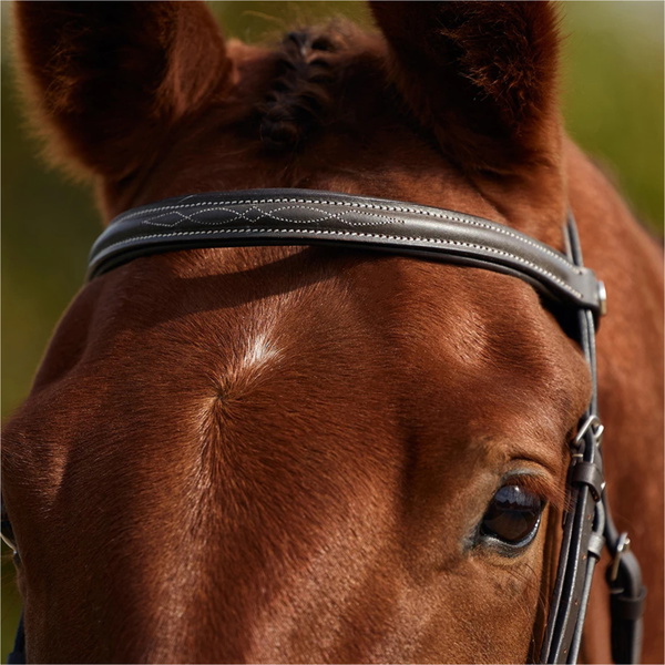 2026 Dublin Padded Mono Crown Fancy Stitch Grackle Bridle 1031502 - Brown